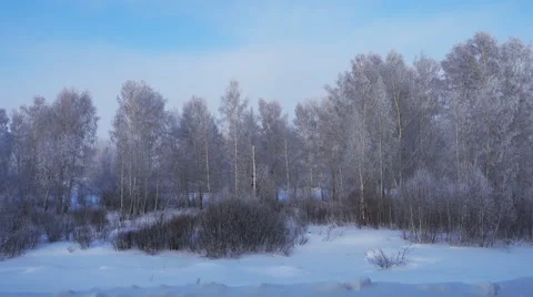 Winter landscape at sunset from the train window Stock Footage 59292257