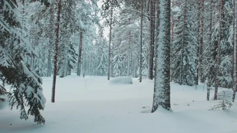 Winter Landscape Sweden Stock Footage 200830929