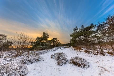 Winter landscape with thin layer of snow Stock Photos
