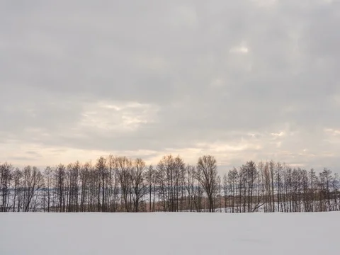 Winter landscape, timelapse of flying clouds above trees. Timelapse Stock Footage 71772960