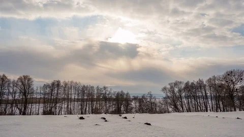 Winter landscape, timelapse of flying clouds above trees. Timelapse Stock Footage 72241257