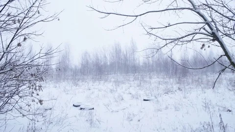 Winter landscape with tires in middle Stock Footage 71605074