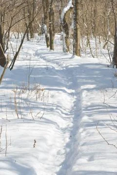 Winter landscape with trail Stock Photos