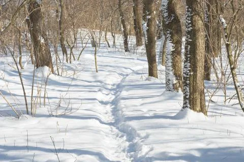 Winter landscape with trail Stock Photos