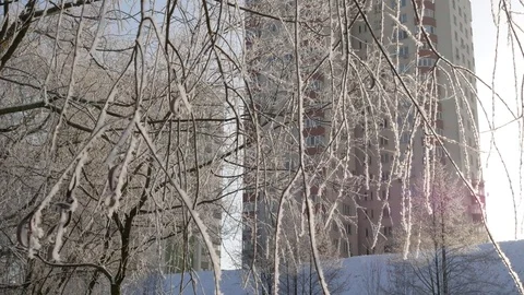 Winter landscape. Tree branches covered with frost. Video stock 85086838