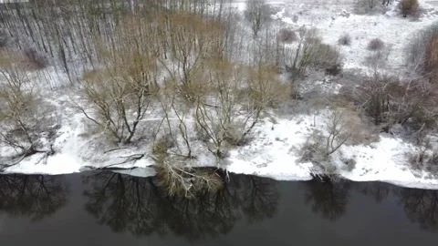 Winter landscape with trees along a river during daytime in a snowy environment Stock Footage 329827883