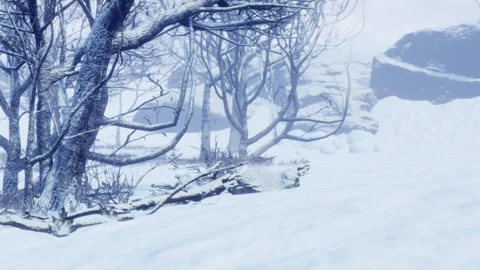 Winter landscape with trees and snow covering the ground at a remote area Stock Footage 339459570
