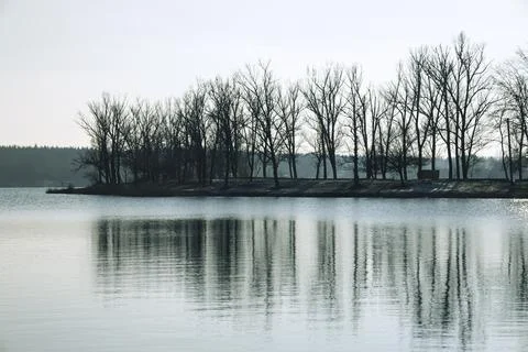 Winter landscape, trees with bare branches and reflection in water Stock Photos