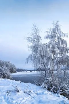 Winter landscape with trees, covered with hoarfrost and lake Stock Photos