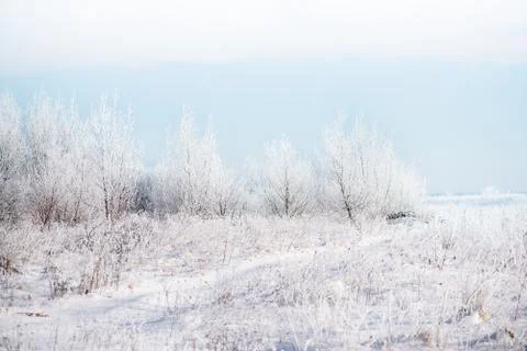 Winter landscape, trees covered with snow. Beauty of nature Fotos Stock