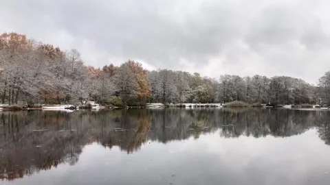 Winter landscape, trees dusted with snow reflected in the mirror surface of the Stock Footage 254358090