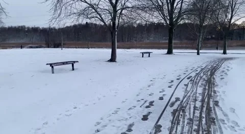 Winter landscape with trees Stock Footage 294373609