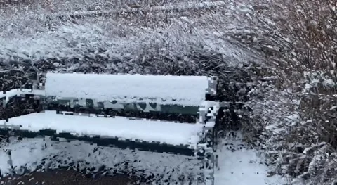 Winter landscape with trees Stock Footage 294373610