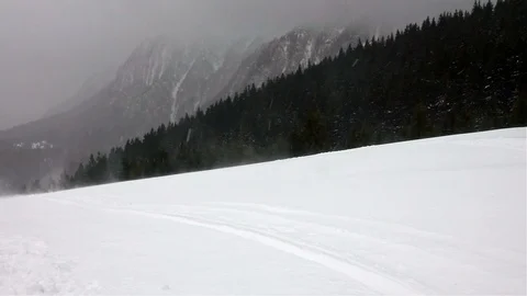 Winter landscape trees in heavy blizzard Stock Footage 104868952