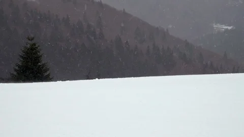 Winter landscape trees in heavy blizzard Stock Footage 104869226