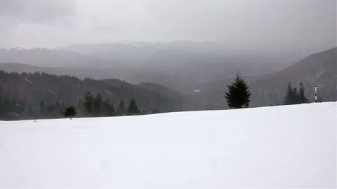 Winter landscape trees in heavy blizzard Stock Footage 104869524