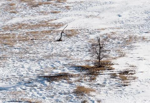 Winter landscape trees Stock Photos