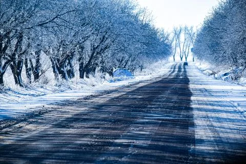 Winter landscape with trees Stock Photos