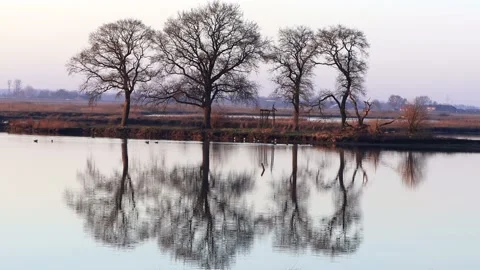 Winter landscape, trees reflected in water Stock Footage 173606910