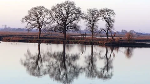 Winter landscape, trees reflected in water Stock Footage 173622688
