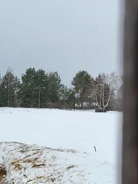 Winter landscape with trees seen from window Stock Photos