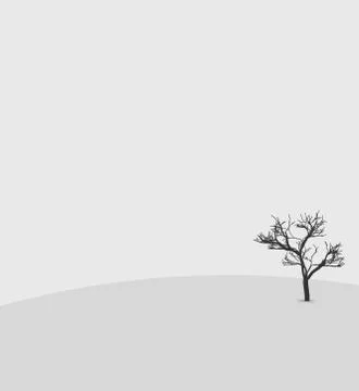 Winter landscape trees in the snow background Stock Illustration