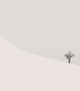 Winter landscape trees in the snow background Stock Illustration