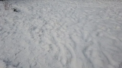 Winter landscape with trees, snow covered road Stock-Footage 123989471