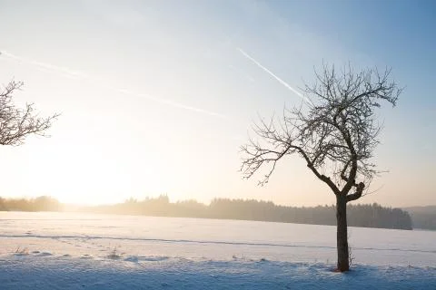 Winter landscape under white snow Stock Photos