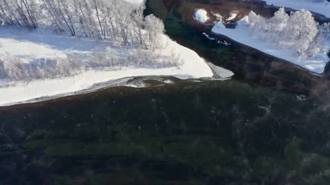 Winter landscape - unfrozen river flows among the snow-covered banks of a birch Stock Footage 173492807