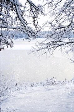 Winter landscape: the view through the frame of the snowy branch Foto stock
