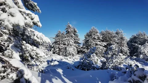 Winter landscape of Vitosha Mountain, Sofia City Region, Bulgaria Stock Footage 300974007