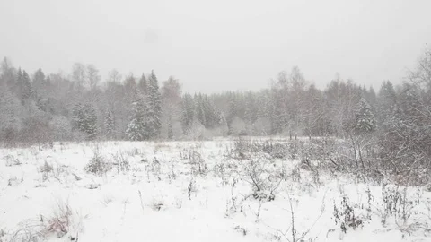 Winter Landscape, White Snow-Covered Field And Forest 스톡 동영상 84661674
