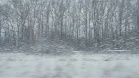 Winter landscape from the window of a moving train. The train passes through a Video stock 195104016