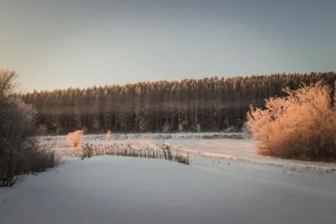 Winter landscapes Stock Photos