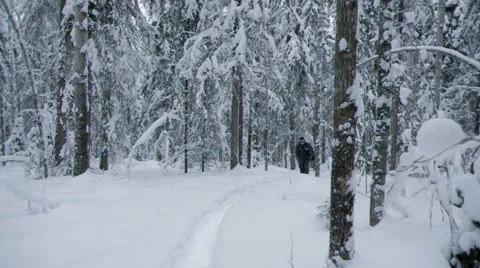 Winter landscape.Winter scene Stock Footage 60390981