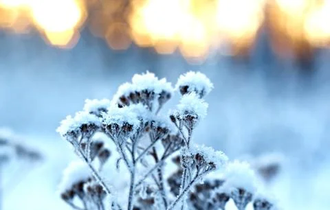 Winter landscape.winter scene 写真素材