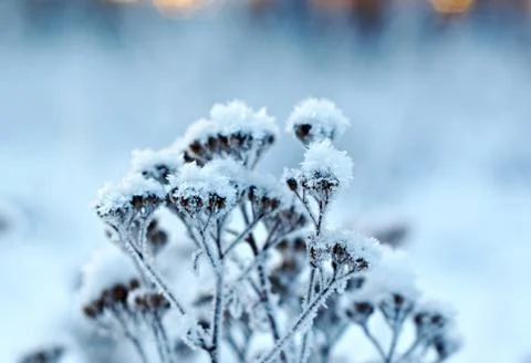 Winter landscape.winter scene Foto stock