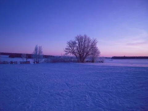 Winter landsccape Stock Photos