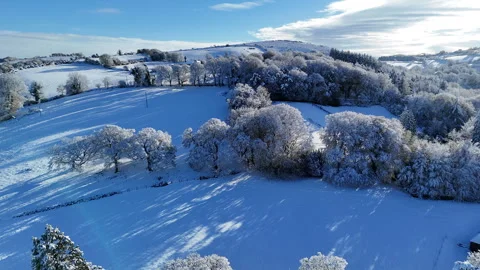 Winter Lane Between Snow Covered Fields Stock Footage 345961215