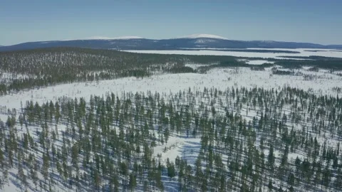Winter Lapland Video stock 142684258