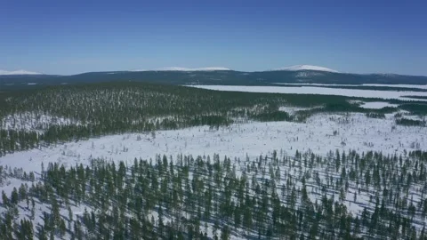 Winter Lapland Video stock 142684292