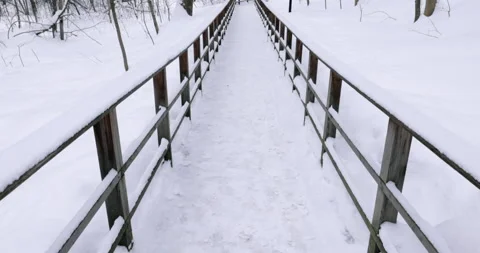 A winter leading to a building surrounded by a freezing forest Vidéo 265672642