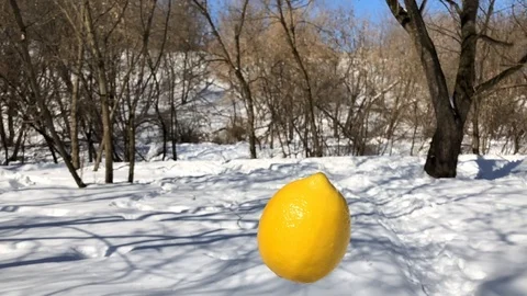 Winter lemon flying slow motion Stock Footage 87301917