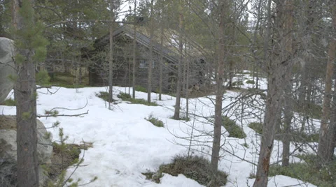 Winter life nature Stock Footage 37790830