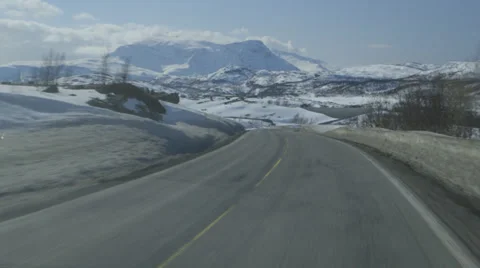 Winter life nature Stock Footage 38070419