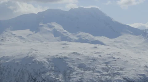 Winter life nature Stock Footage 38070474
