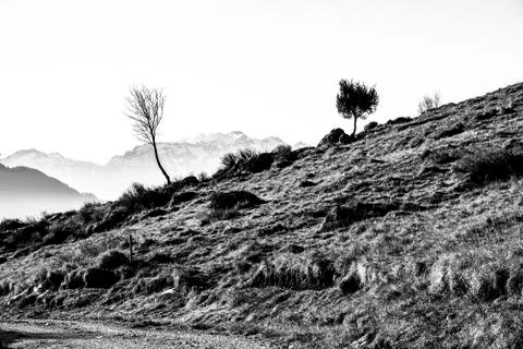 Winter life zero Stock Photos