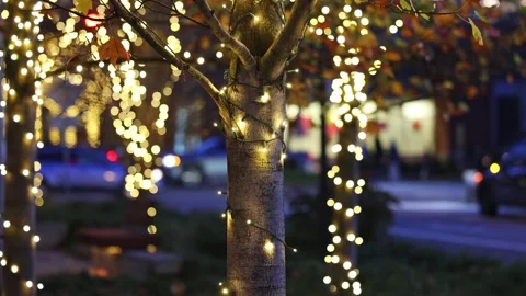 Winter light decorations on trees in downtown Seattle Stock Footage 295068115