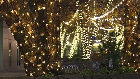 Winter light decorations on trees in downtown Seattle Stock Footage 295068315